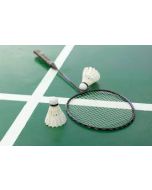 PowerControl 750 Badminton Racket